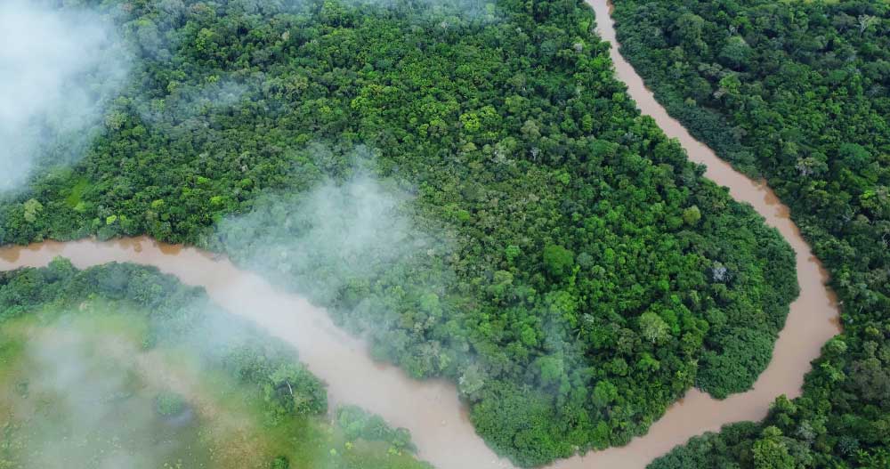 Entenda o contexto dos Mercados de Créditos de Carbono no Brasil