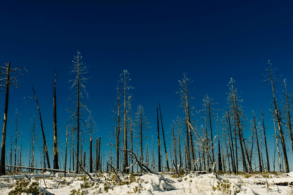 Mudanças climáticas: principais pontos do último relatório do IPCC