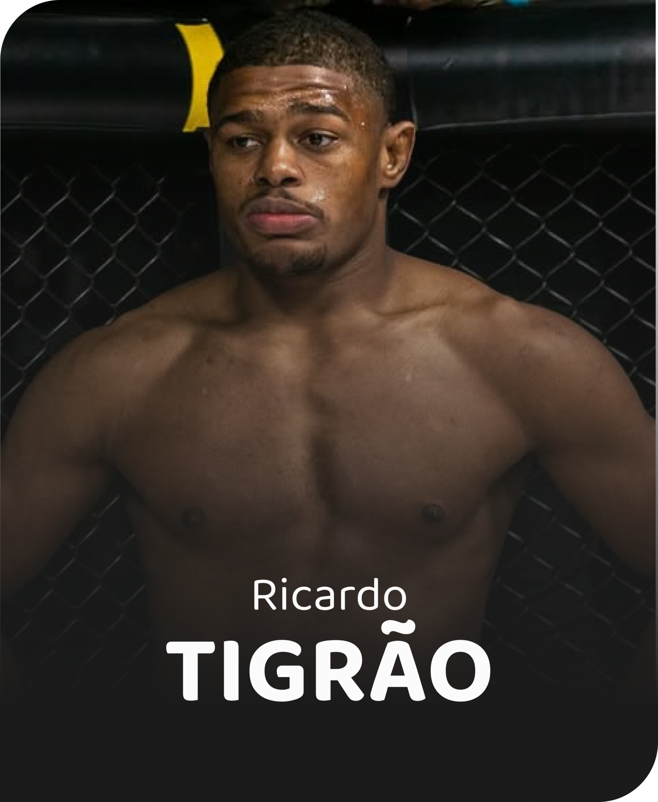 Ricardo Tigrão